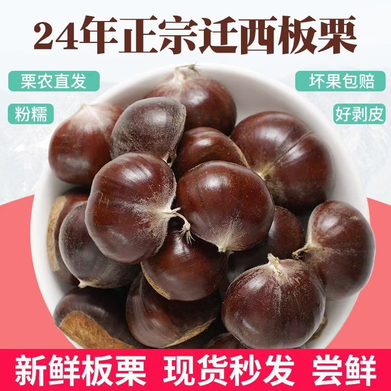 甄选自营 | 鲜丰甄选正宗新鲜迁西板栗现货速发