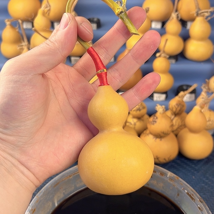 葫芦竹子龙头葫芦倒流香