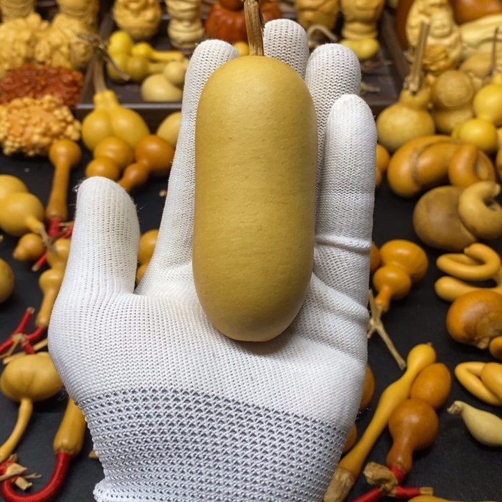 木直播间拍品不退不换