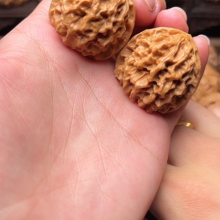 核桃33玄月核桃4111