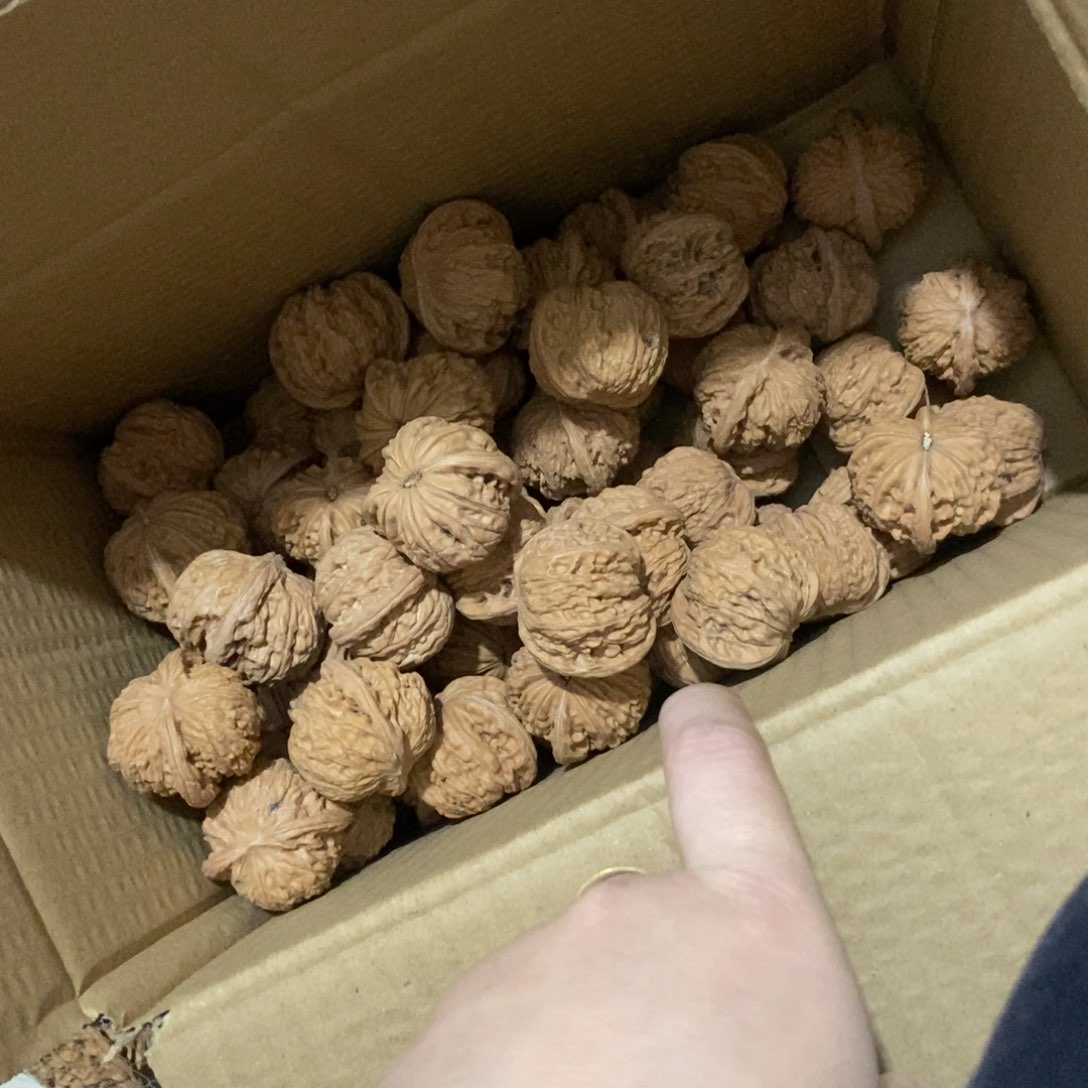 文玩核桃吊坠六*1111111