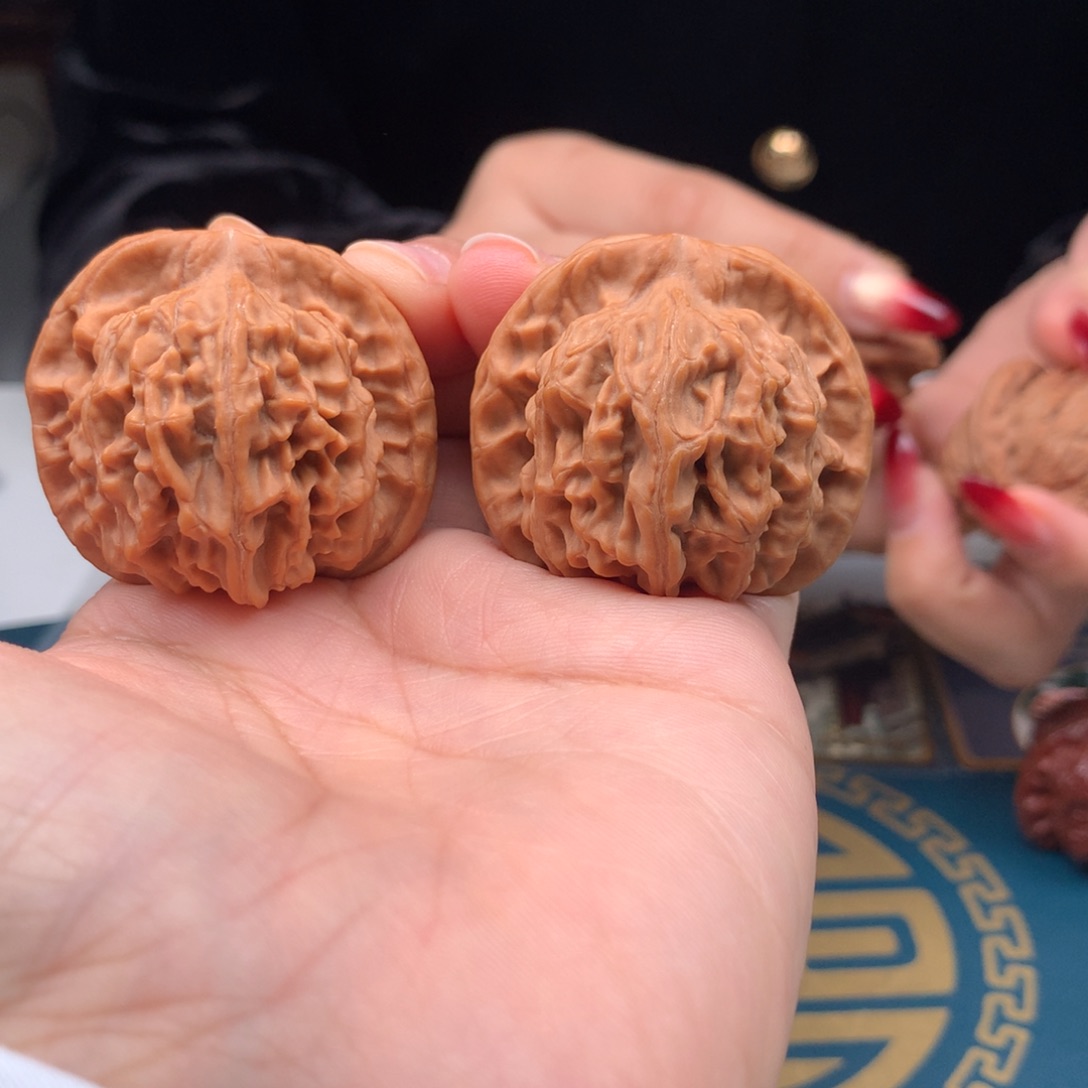 大叶紫檀（黑酸枝木类）