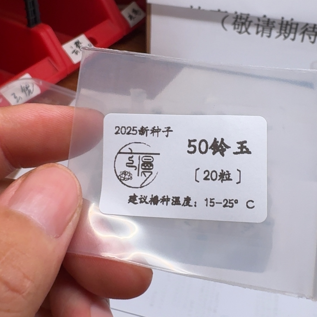 如图2025新种子50灵玉20粒一份