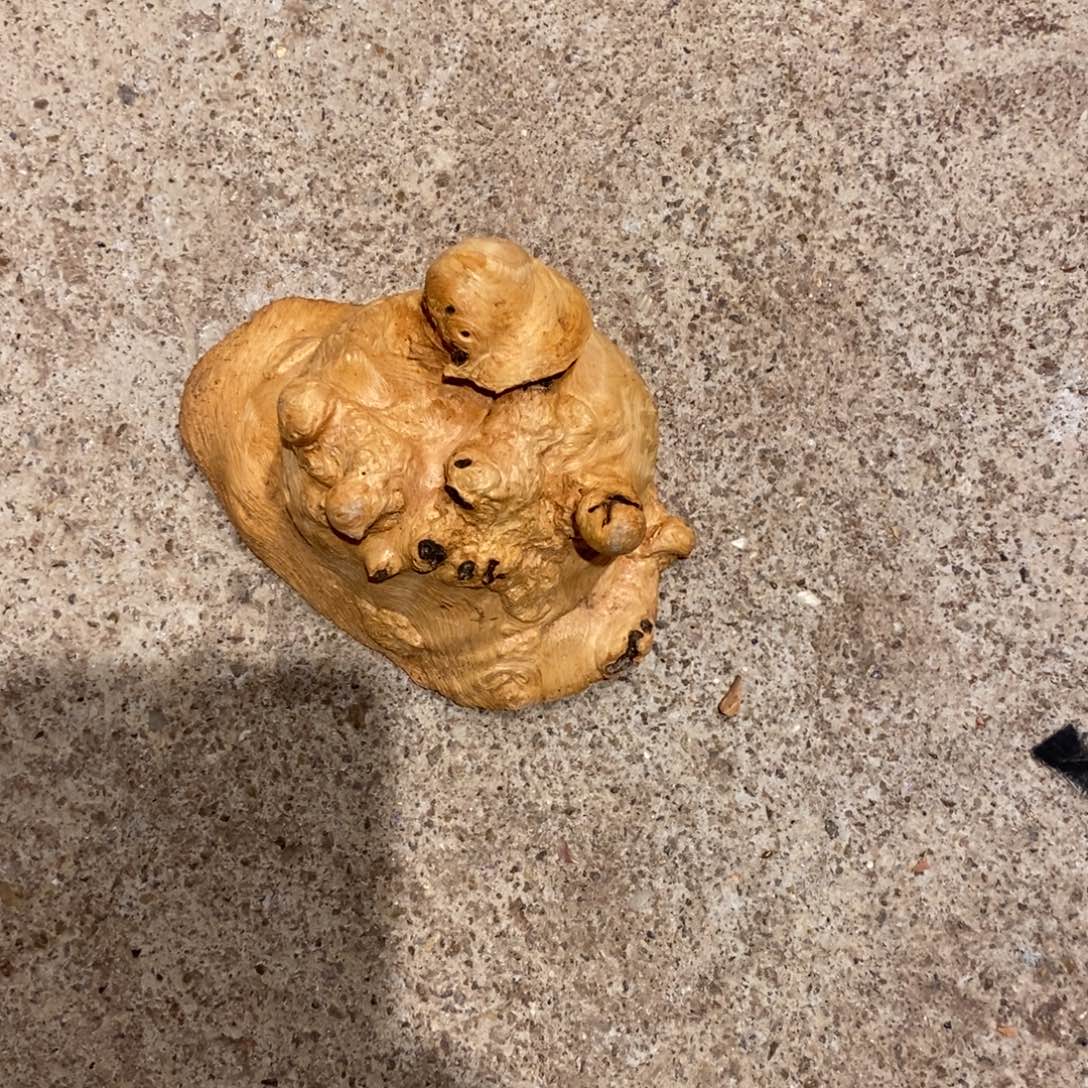 小***4荔枝木随形木材一个