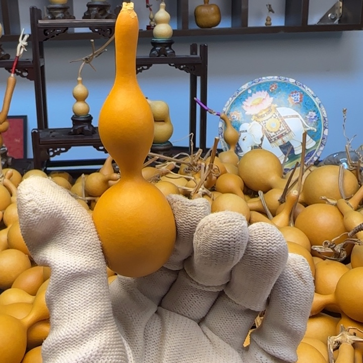 @***子大叶紫檀（黑酸枝木类）