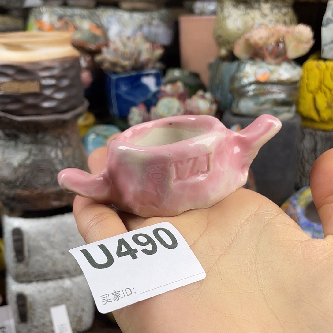 默认微次 元旦福利 坛子姐花盆