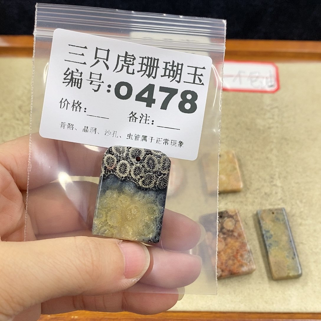 硅化珊瑚（珊瑚玉）1未镶嵌一***?