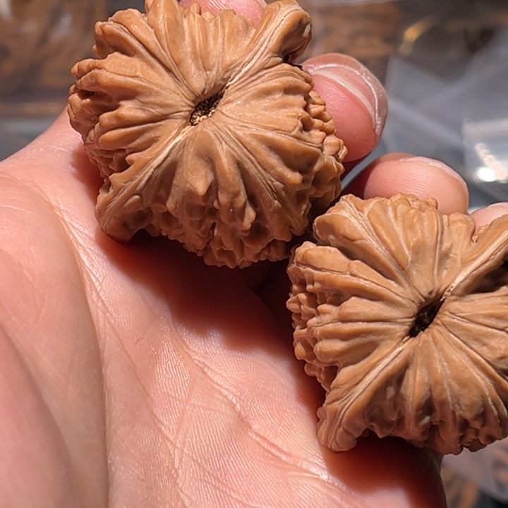 蝈***徐把件文玩核桃37楼子