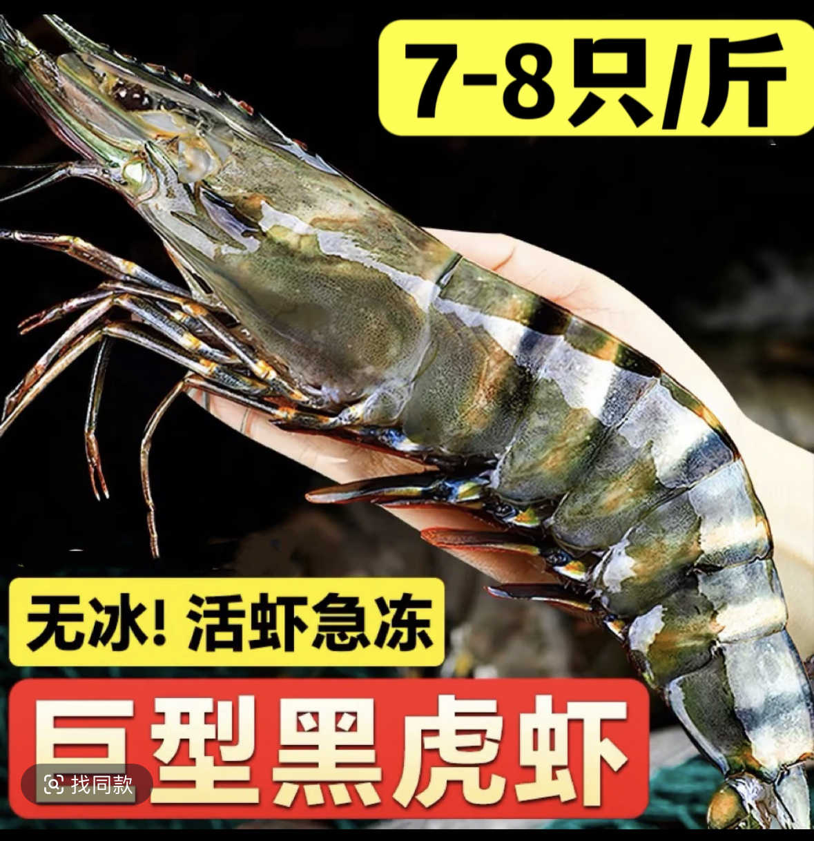 新鲜黑虎虾13/15规格 无冰衣 净重三斤 22只左右 顺丰包邮