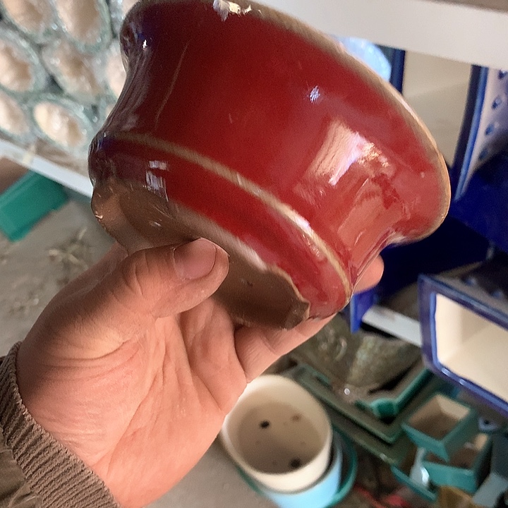 紫砂我要不就是你一眼