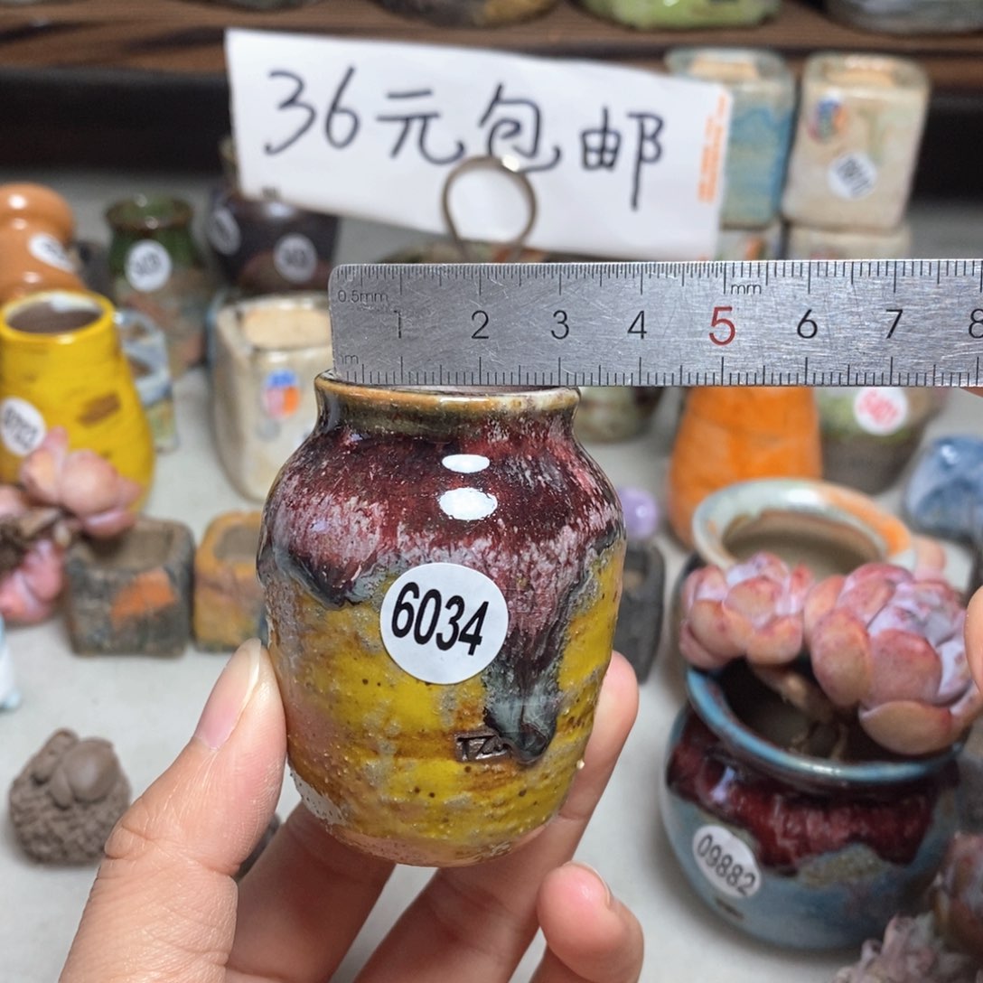 拍5送一个小礼物