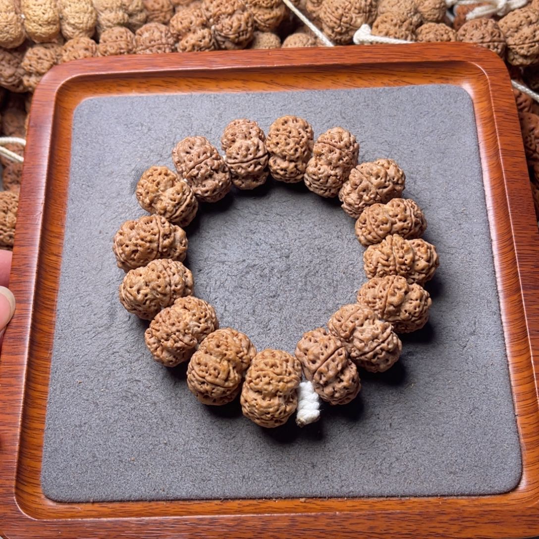 菩提籽类7号金刚菩提梅花夹板25