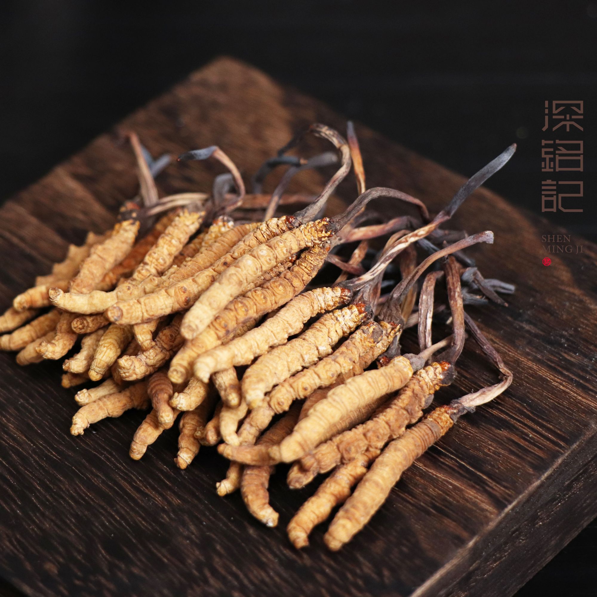 那曲 野冬虫夏草1500头