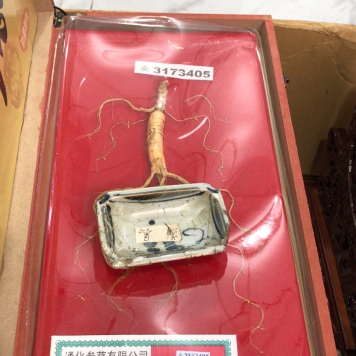 陶瓷孤品单件车里拍