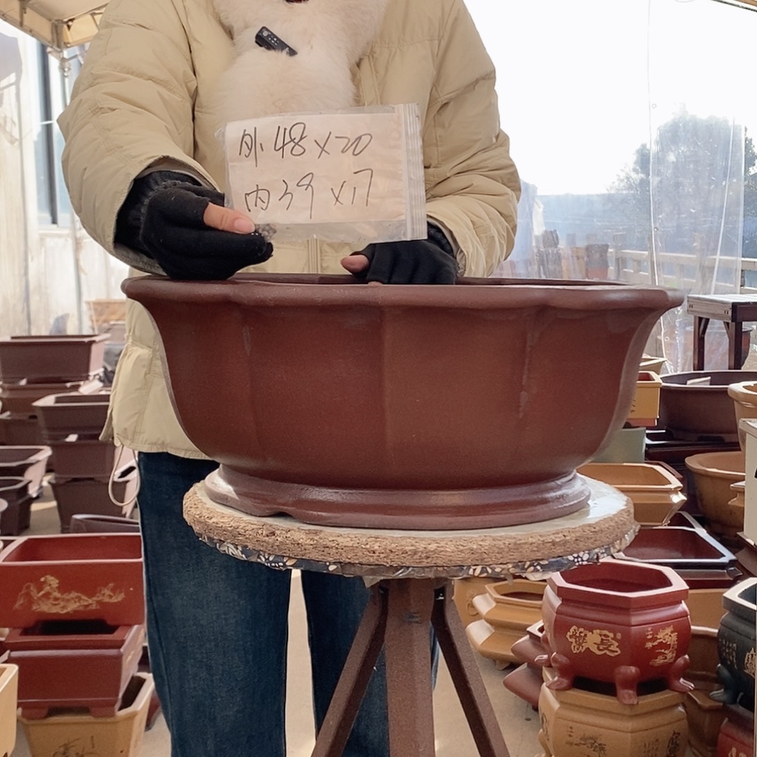 紫砂花盆紫砂花盆