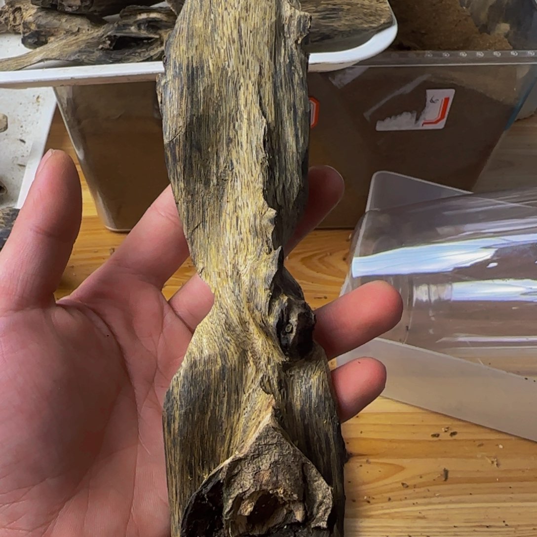 沉香沉香碎屑71克