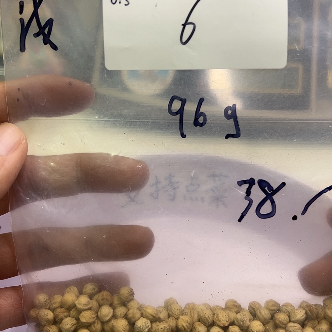 浅***饮吊坠柏香籽/百香籽