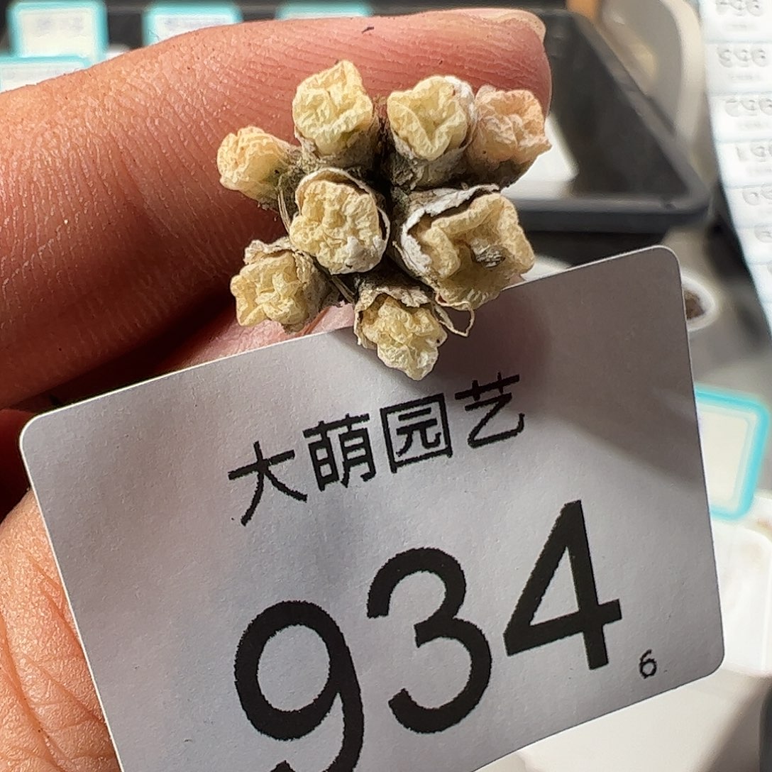 0000934 清盒福利微瑕无售后……