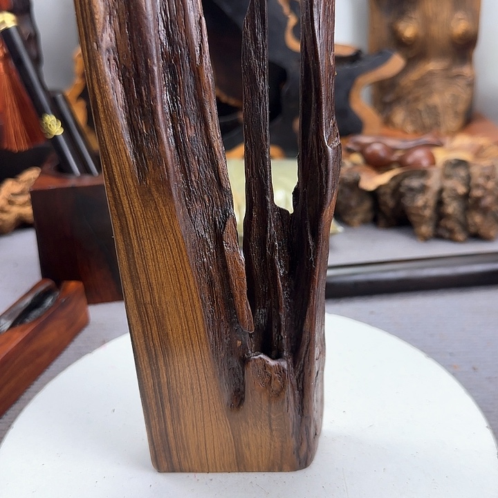 大果紫檀（缅甸花梨）自**放