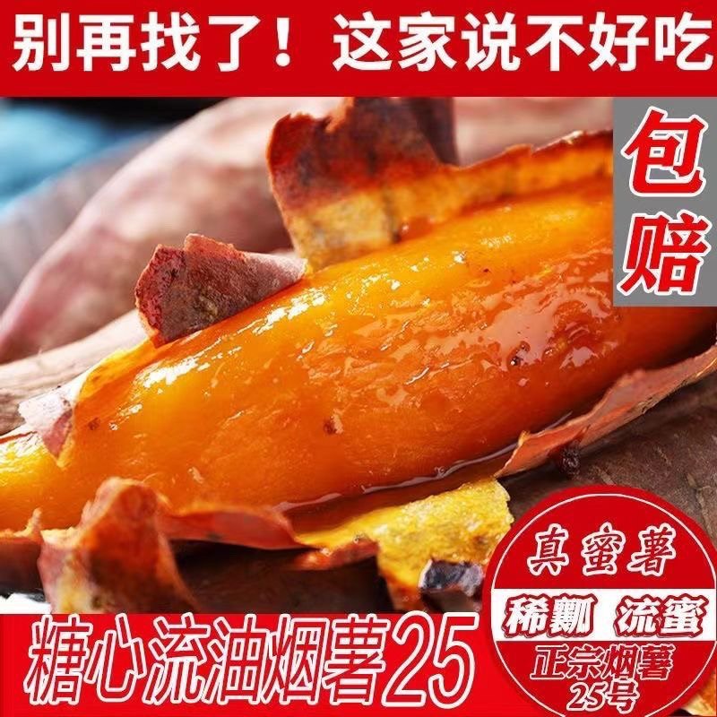 山东正宗烟薯25号蜜薯烤地瓜糖心流油软糯香甜