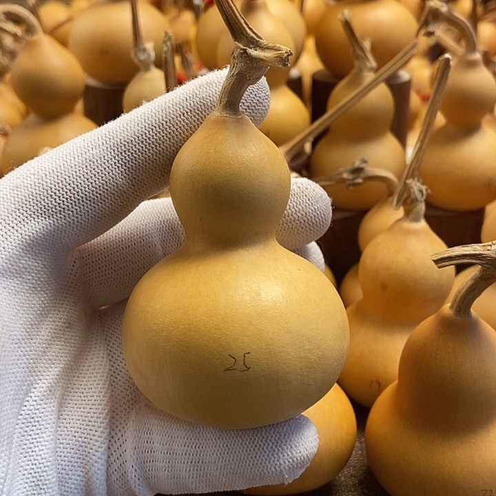 文玩葫芦 完美主义者 慎拍25