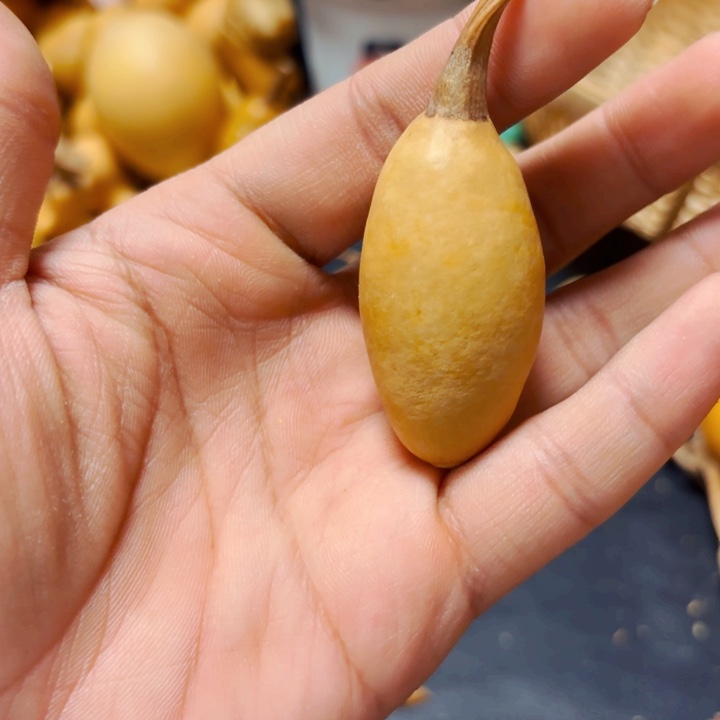 文*888888888889888888888