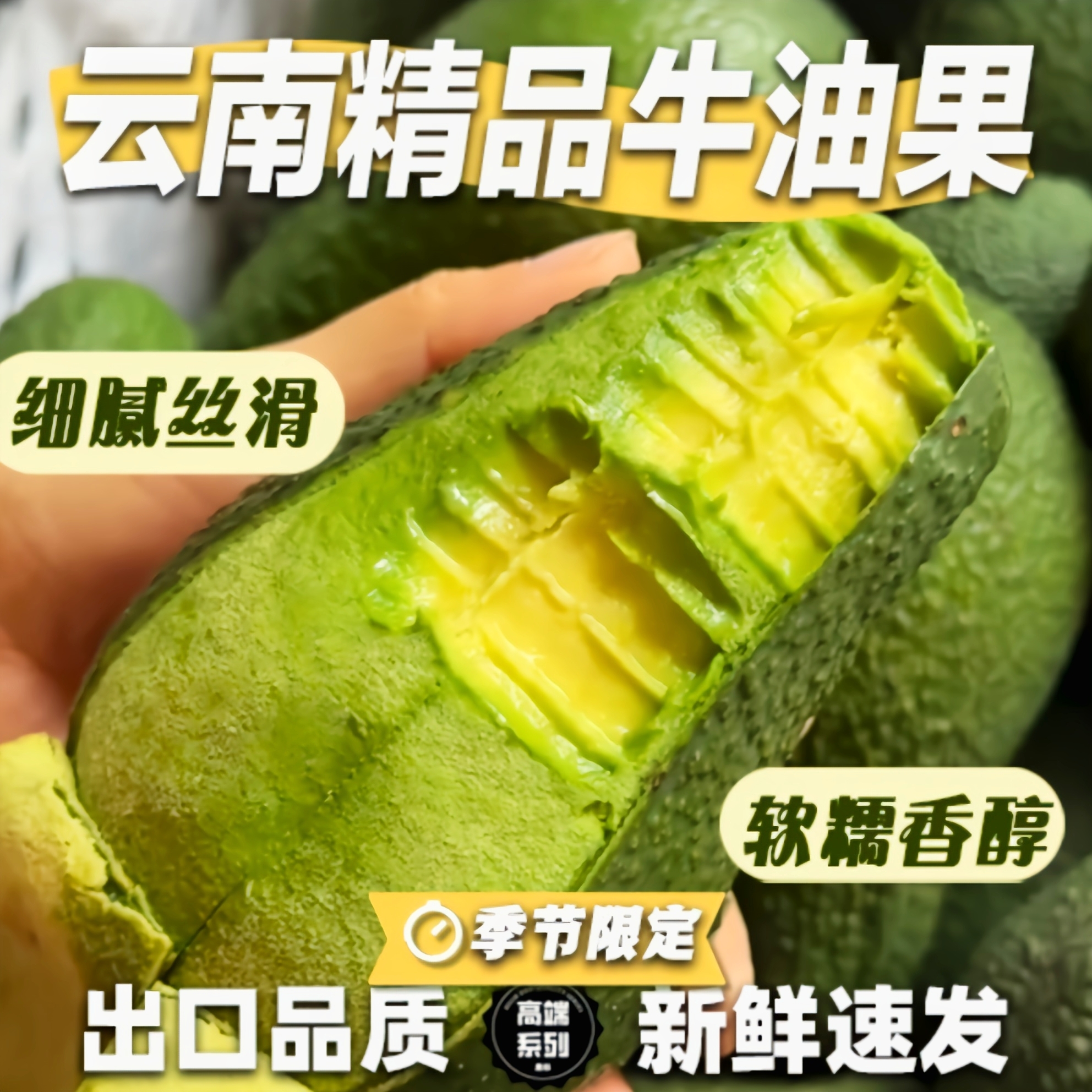 A大果正宗云南牛油果树熟现摘精品鳄梨枚枚超现采现发