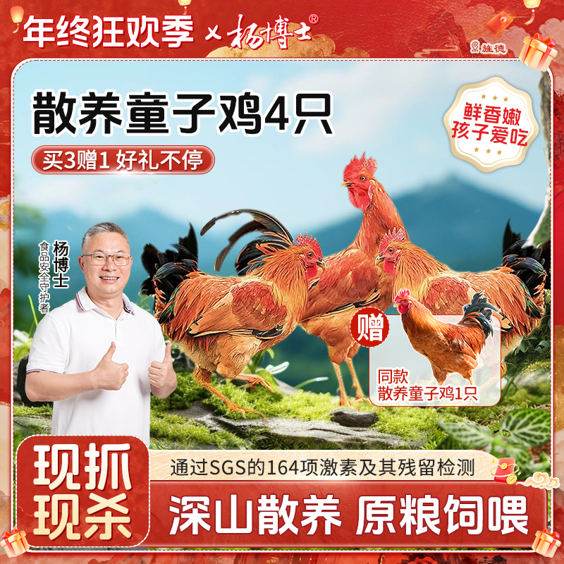 【4只囤货装】杨博士深山放养低脂土鸡童子鸡高蛋白嫩 包冰率不含冰