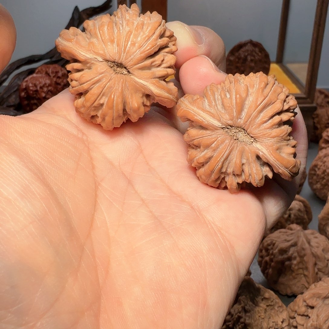 文玩核桃把件42尺寸蓟县山地四座楼