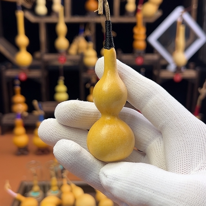 E***.葫芦等多种颜色的花