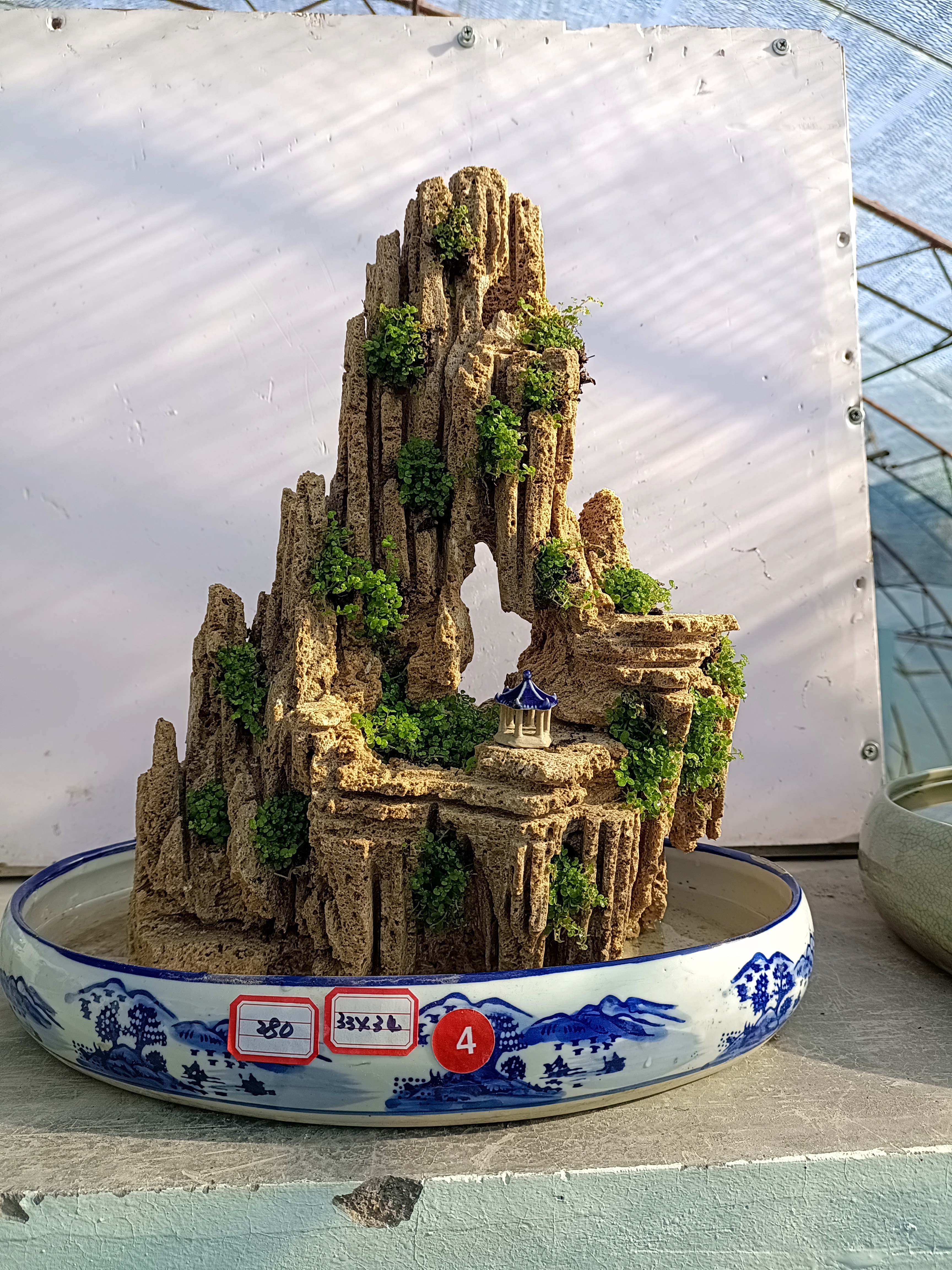 高33盆长34高山流水吸水石绿植吸水石盆景盆景