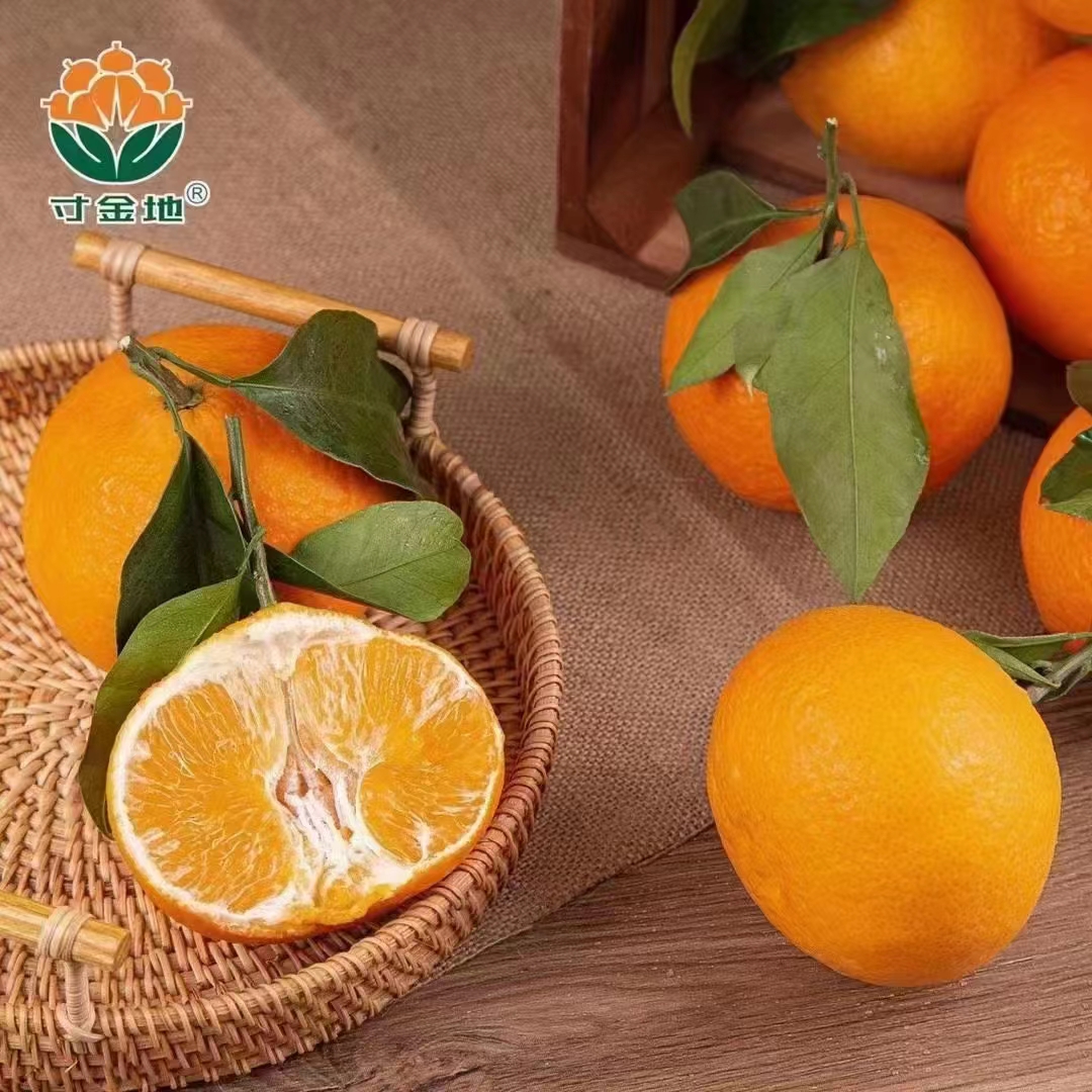 （寸金地礼盒）春见耙耙柑礼盒装毛重约8斤四川省