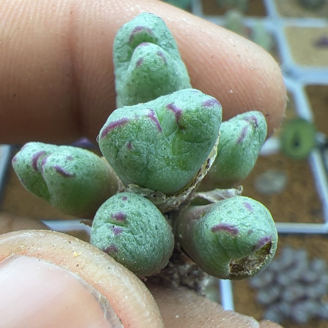 22223 大家过年好