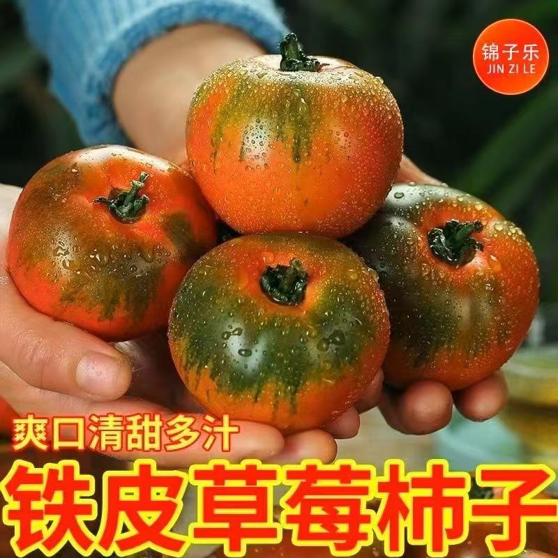 顺丰包邮手挑精选现摘铁皮西红柿甜酸可口果肉饱满孕妇水果净4斤