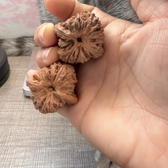 桃核吊坠美****丶核桃核桃
