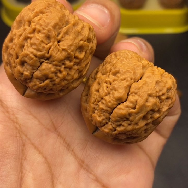 吊坠文玩核桃37尺老蟾头