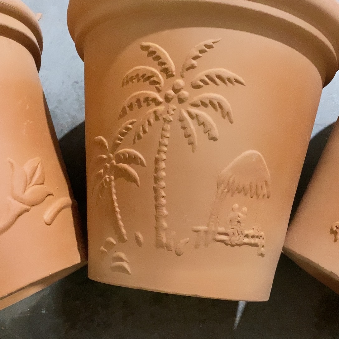 夏***）椰树20×19两个     