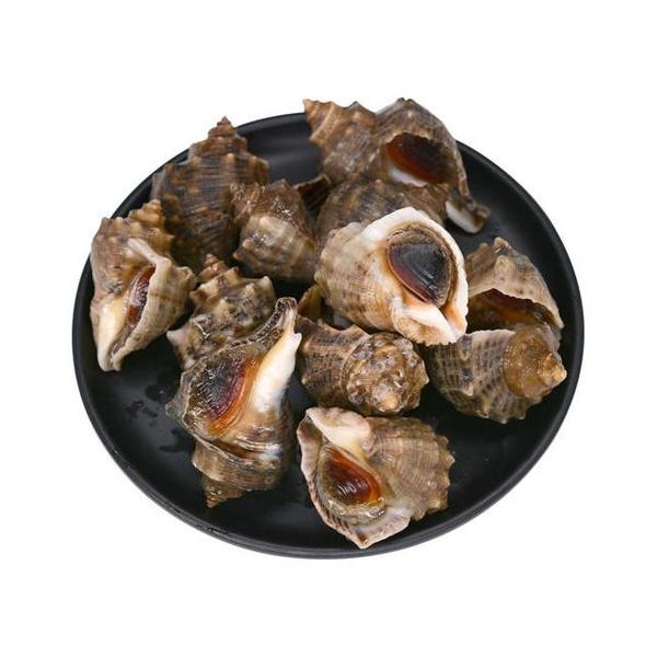 海螺一份 约1.5斤一份