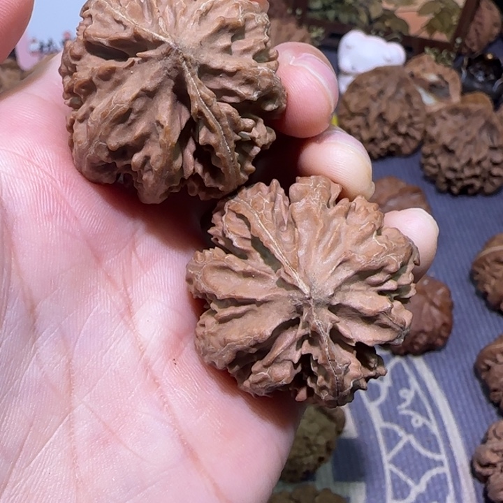 核桃秦岭文玩核桃9