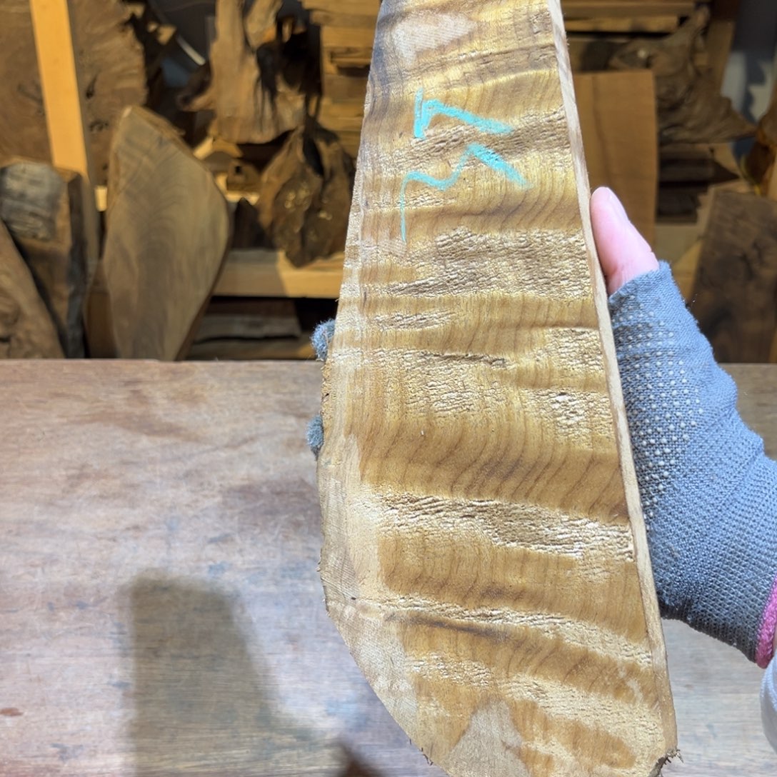 金丝楠金丝楠原材料