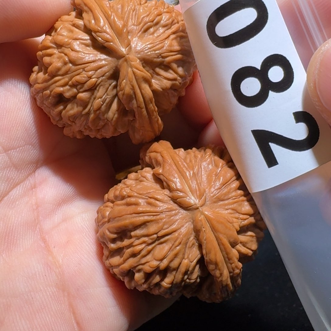 文玩核桃把件脚****正白狮41