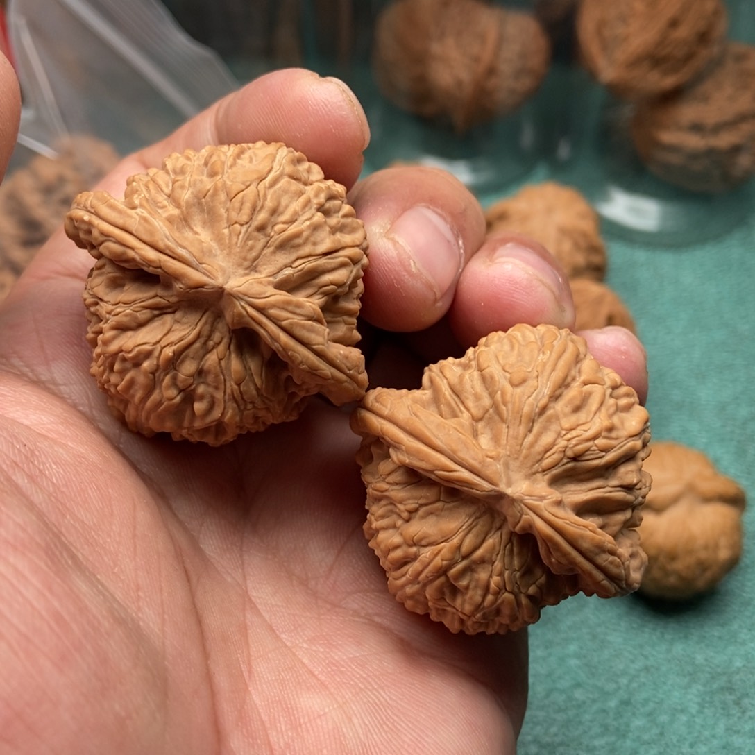 女***圭吊坠文玩核桃白狮子
