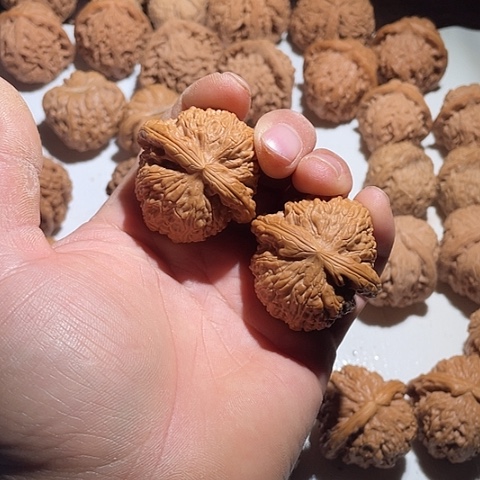 把件文玩核桃白狮子