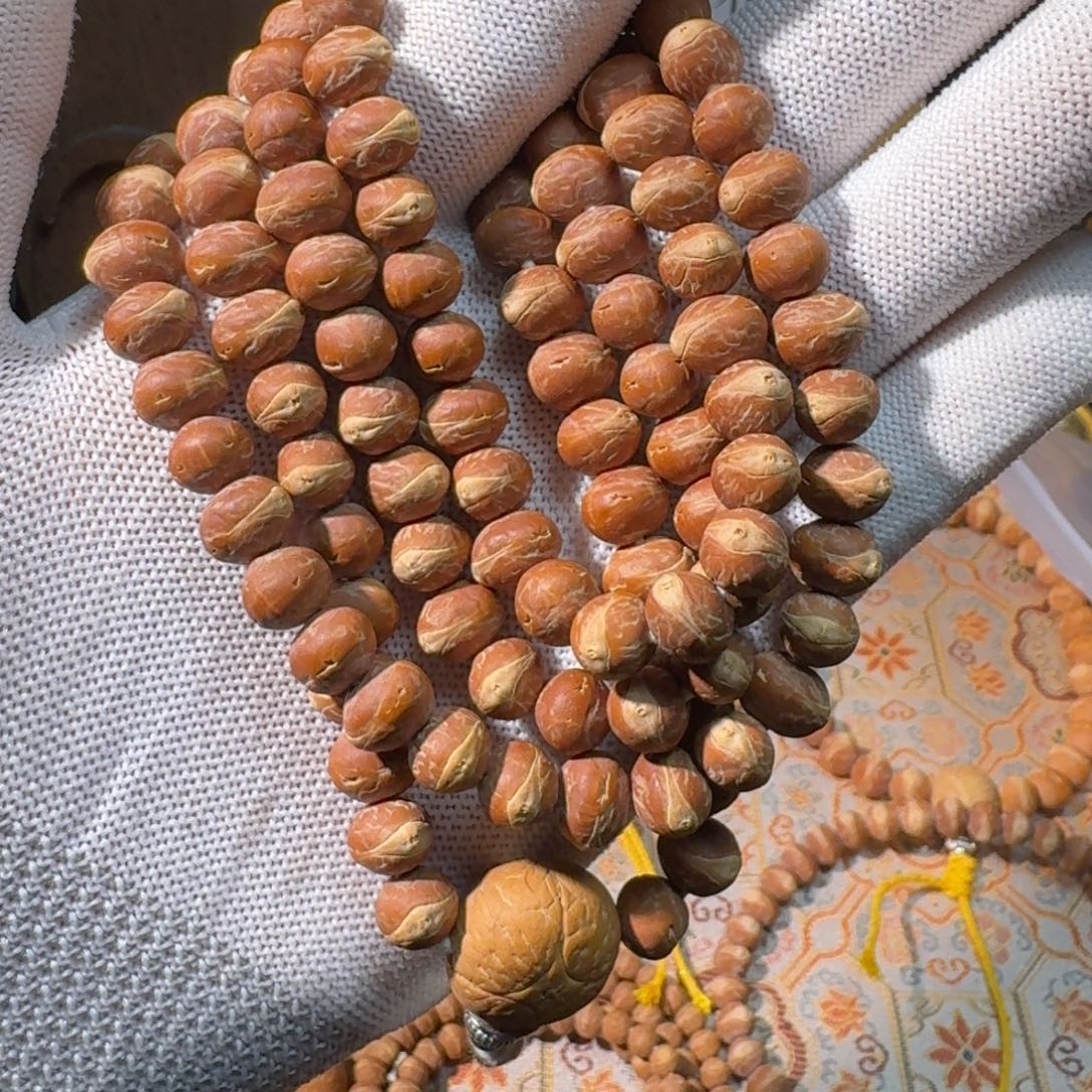 丿***凤眼菩提吊坠酸枣核凤眼菩提