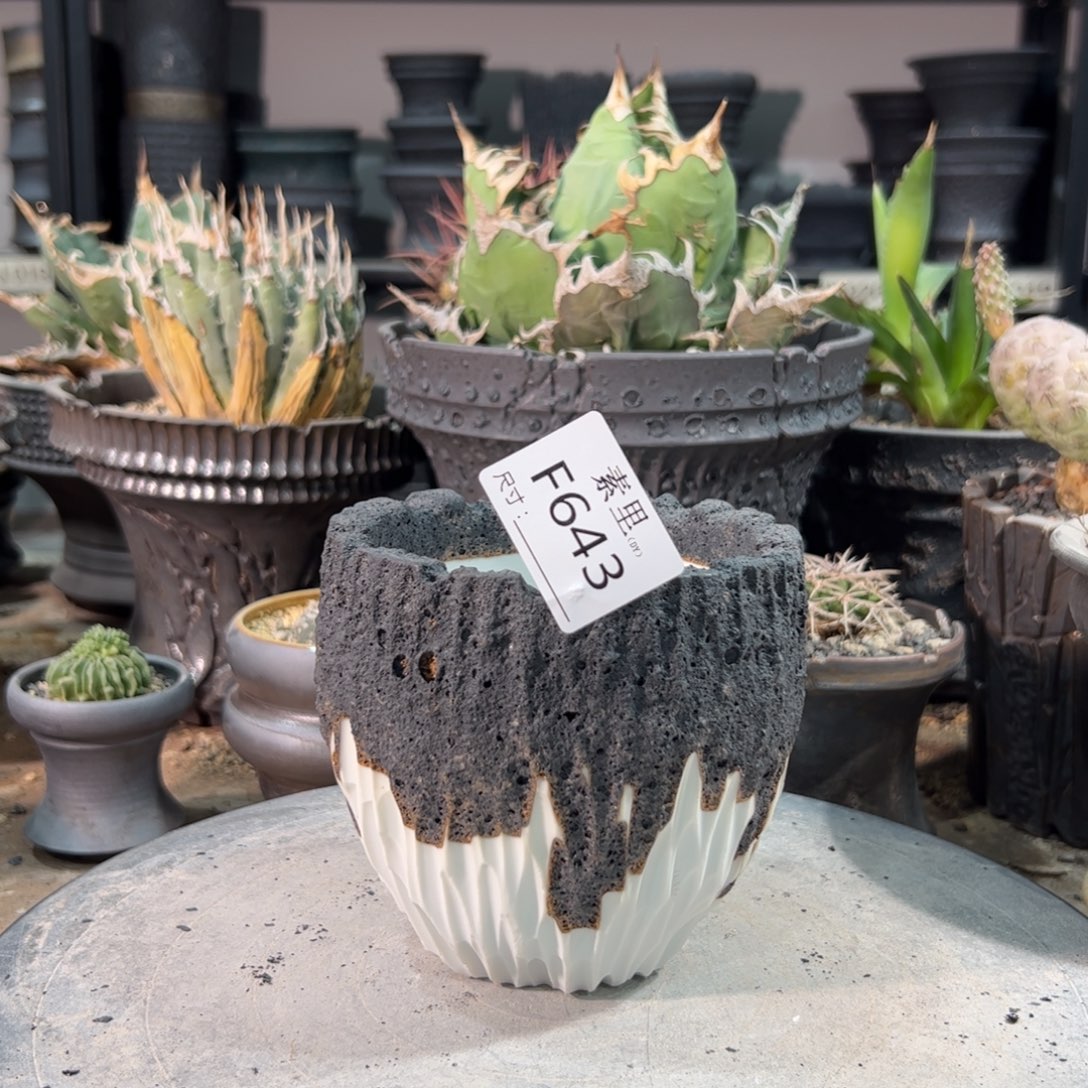 景德镇手工素里内口9.5高11