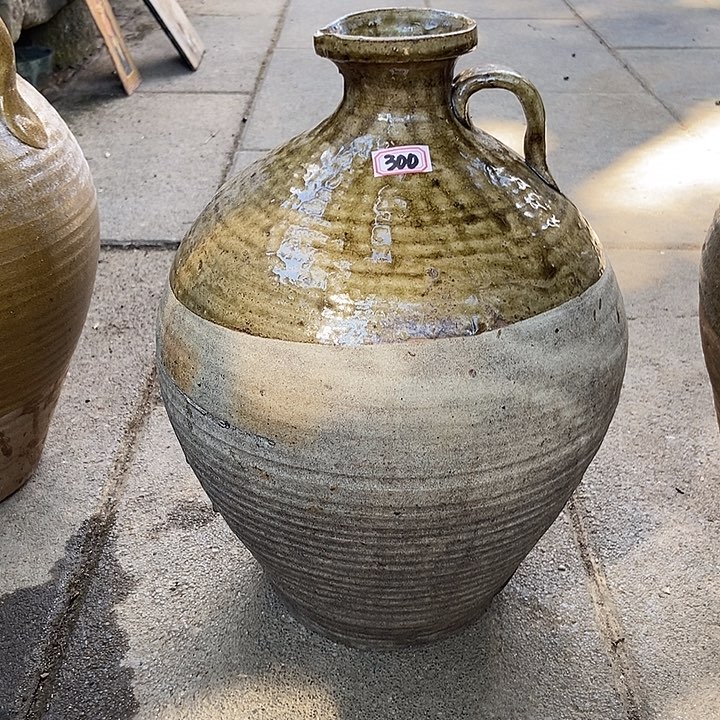 无花朵玫瑰花玫瑰花玫瑰花玫瑰花