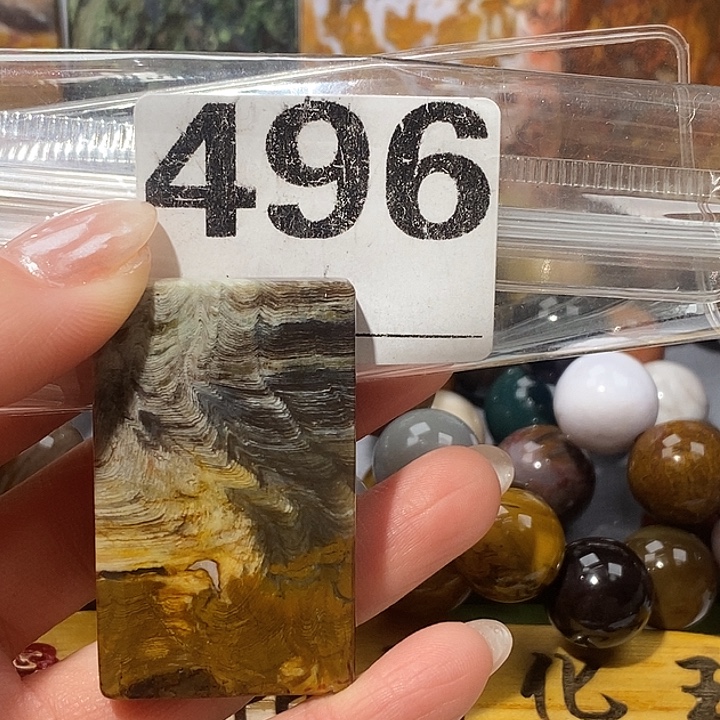 硅化玉未镶嵌天然北票树化玉吊坠