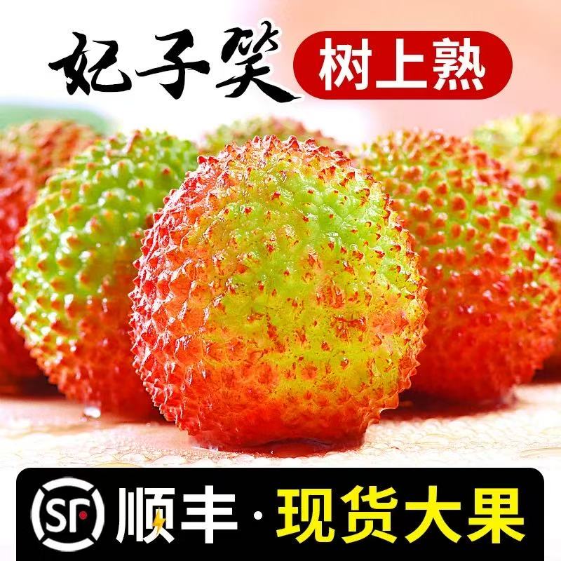 【次日达】妃子笑荔枝 顺丰包邮 4斤  坏果包赔荔枝同城送新鲜