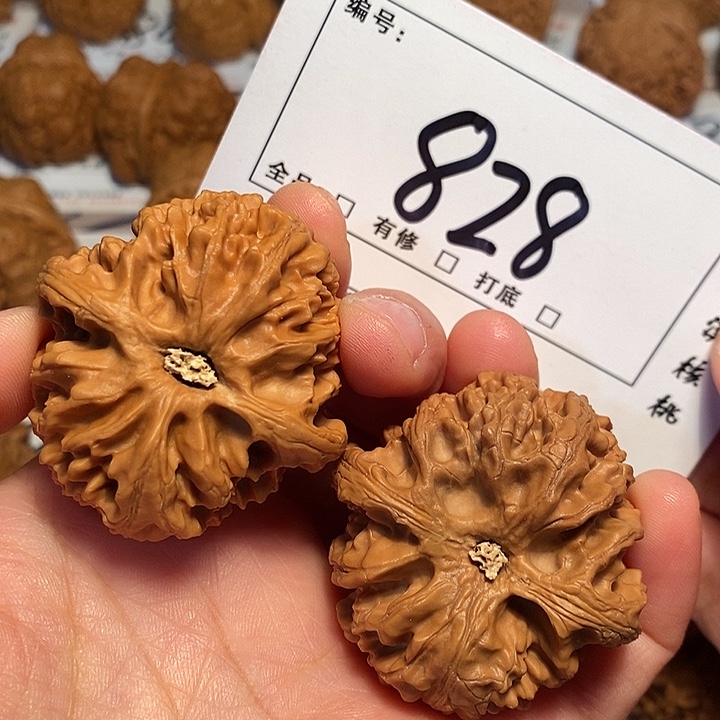 大叶紫檀（黑酸枝木类）苹果园44尺828号