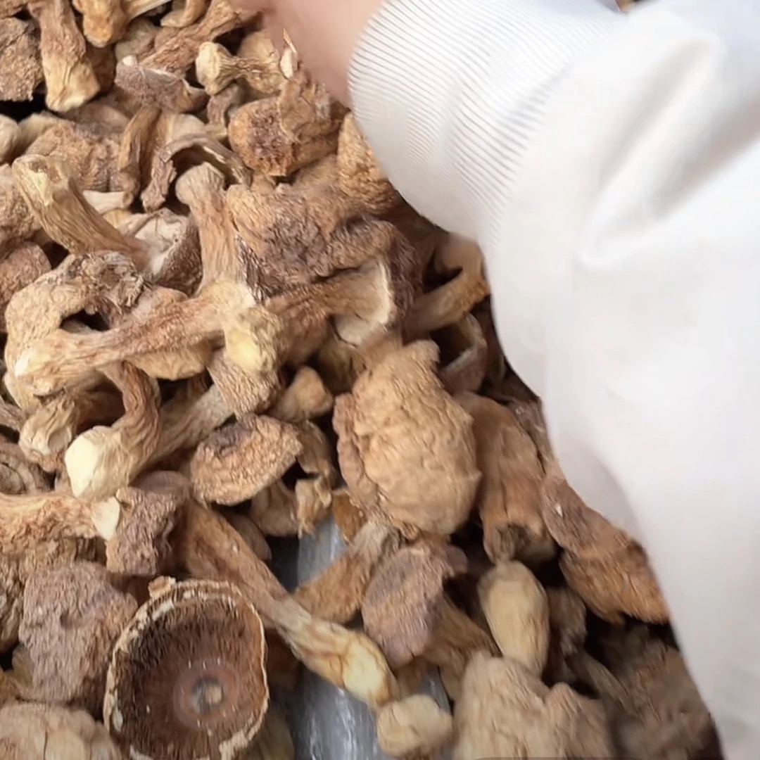 云南新货姬松茸干货煲汤炒菜佳品菌菇干货——1——